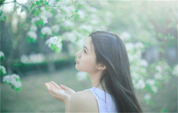 沉湖管委会验血查男女几周可以验(验血查男女结果图)